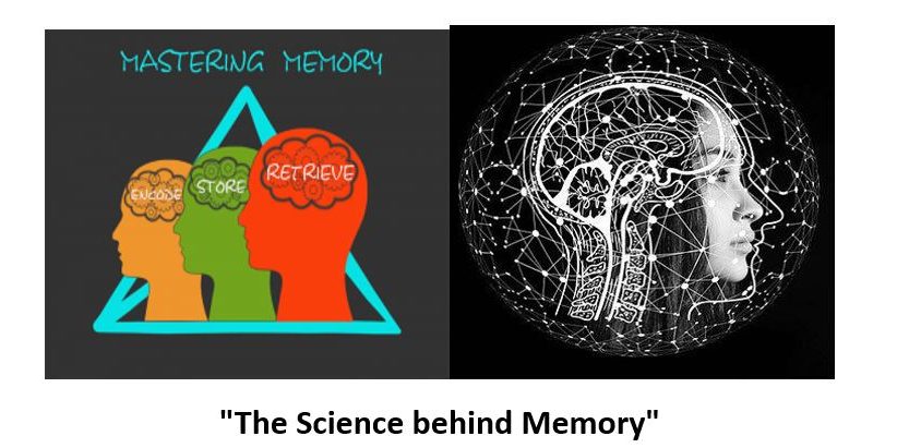 Memory - Psychopedia - Psychology Coaching And Research Training