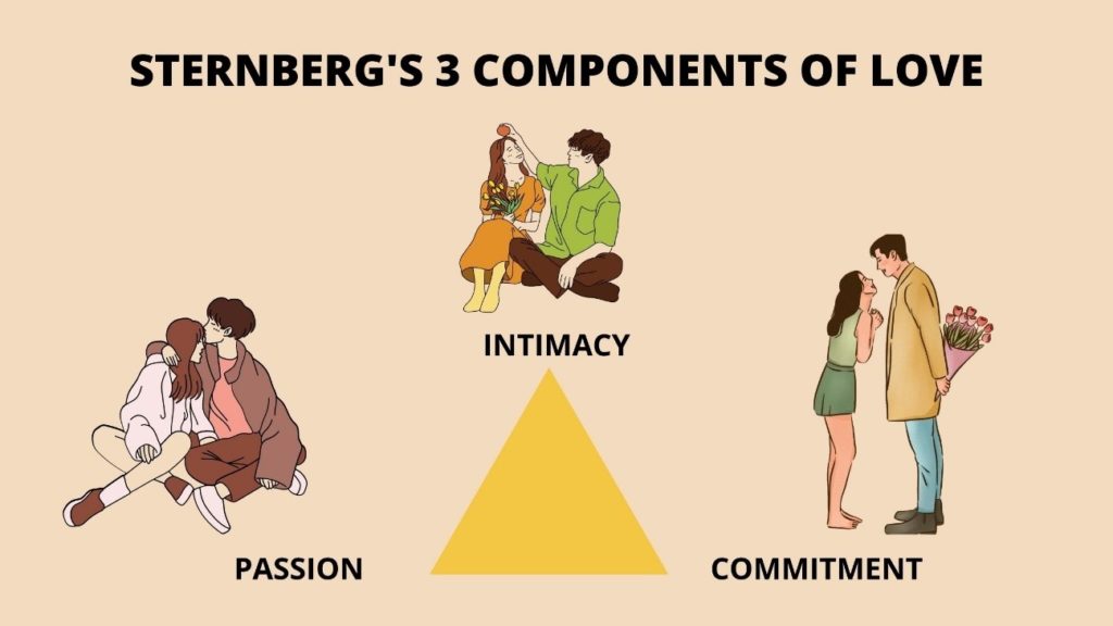 robert sternbergs triangular theory of love